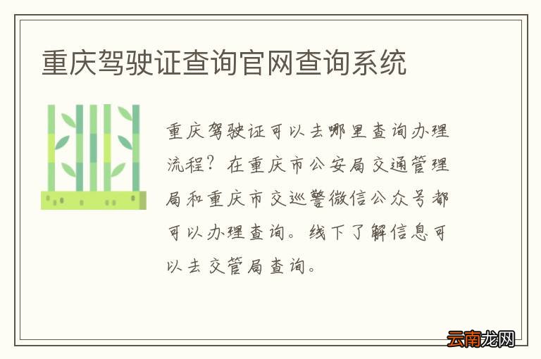 重庆驾驶证查询官网查询系统