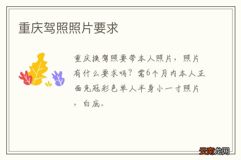 重庆驾照照片要求