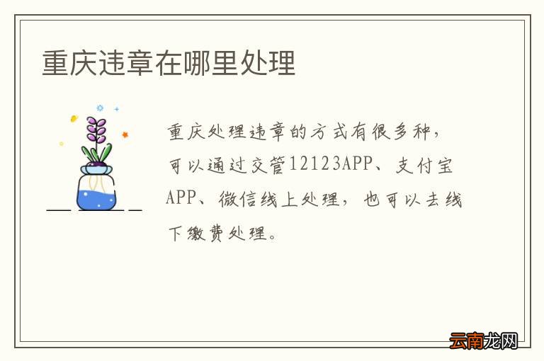 重庆违章在哪里处理