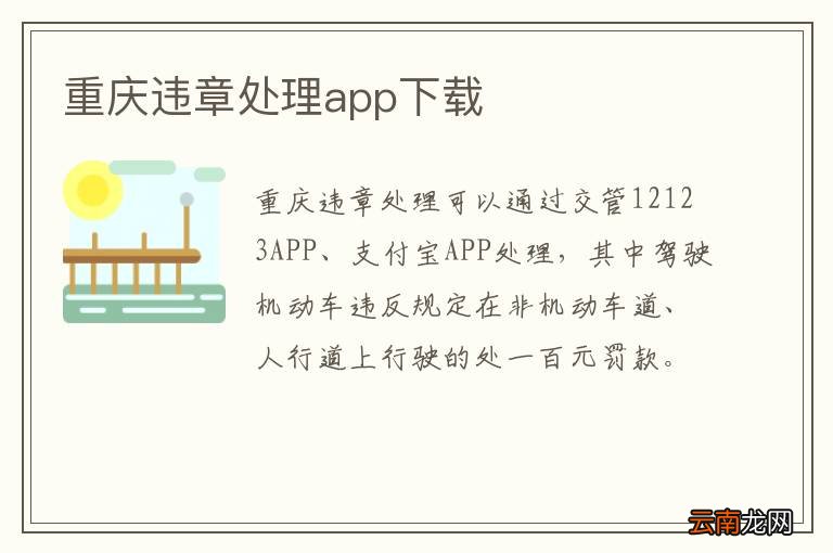 重庆违章处理app下载