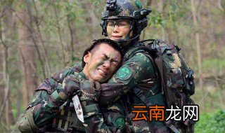 特种兵之火凤凰情人岛第几集 一起来开看看吧
