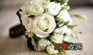 白玫瑰花语 代表着什么