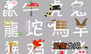 生肖鼠的配对禁忌是啥 你了解了吗
