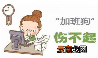 加班成为常态的生肖 他们不一定都是工作狂
