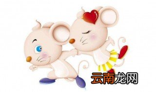 属鼠凭啥可以崭露头角 两点为你答疑解惑