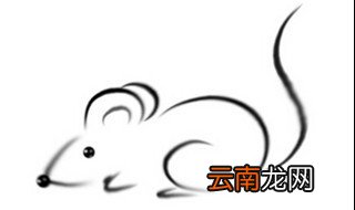 属鼠的今年多大 对应以下以下几个年龄段