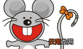 属鼠人最喜欢叨念的事 属鼠人最喜欢叨念的事是赚钱