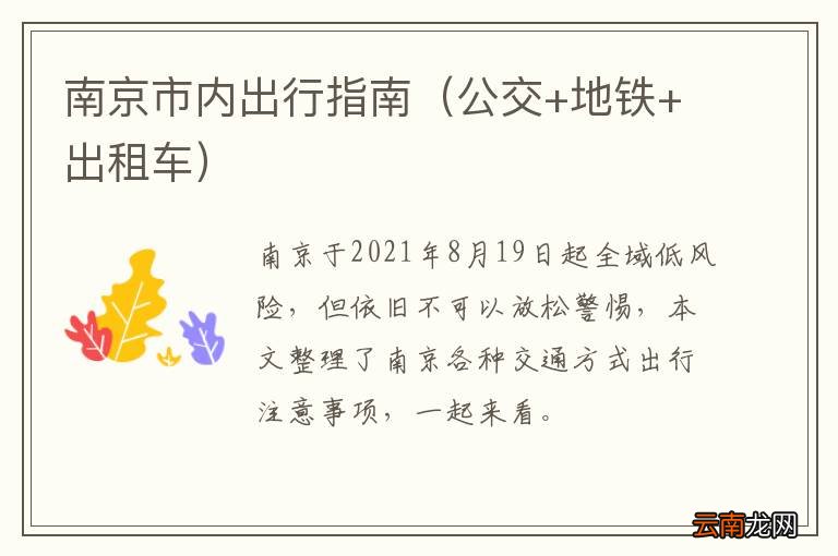 公交+地铁+出租车 南京市内出行指南