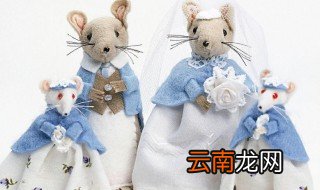 属鼠的婚姻与命运 两点为你说明