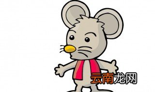 如何让属鼠的人更爱你 看了你就明白
