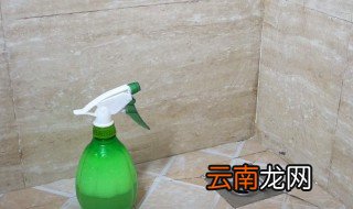 卫生间有小飞虫怎么办 以下六种方法可以帮你解决