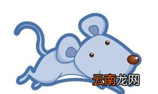 属鼠人最一鸣惊人的话 你知道是什么吗
