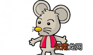 属鼠人向往的生活方式 看了你就知道