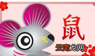 属鼠如何对待爱情 看了你就知道