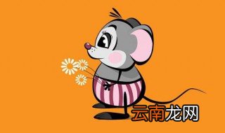 属鼠人难以忘记的瞬间 留下烙印刻骨铭心