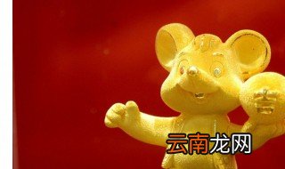 属鼠的人性格详解 看了你就知道