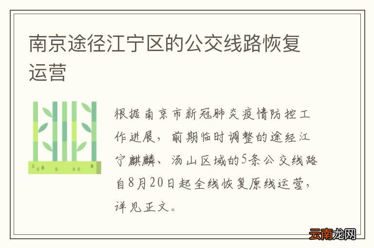 南京途径江宁区的公交线路恢复运营