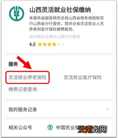 如何通过民生山西APP申报养老保险缴费？