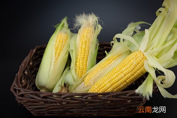 粘玉米的功效与作用 粘玉米的功效与作用及营养价值