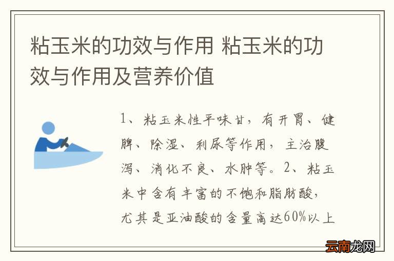 粘玉米的功效与作用 粘玉米的功效与作用及营养价值