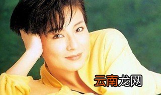 笑红尘是哪部电视剧的主题曲 你听过吗