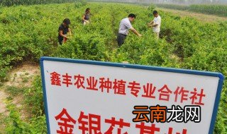 我国农业生产经营主体是哪些 其过渡形式是什么