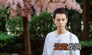 泡沫之夏什么时候更新 泡沫之夏的剧情介绍