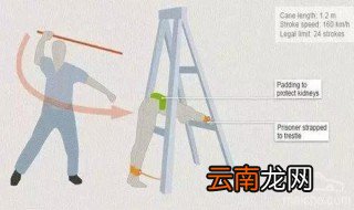 新加坡鞭刑介绍 有关新加坡鞭刑的介绍