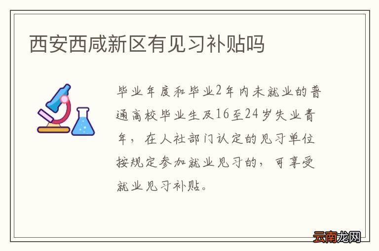 西安西咸新区有见习补贴吗