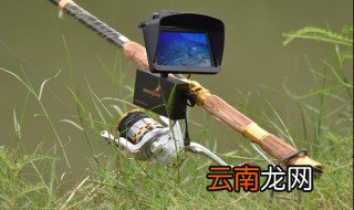 锚鱼用的鱼竿多长比较好? 多长的鱼竿适合钓鱼