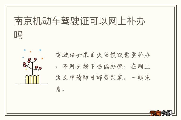 南京机动车驾驶证可以网上补办吗