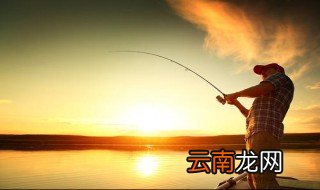 夜钓用什么灯光好 晚上钓鱼用什么灯光