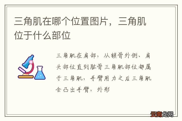 三角肌在哪个位置图片，三角肌位于什么部位
