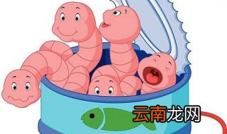 钓鱼蚯蚓的正确挂法 三种方式教会你
