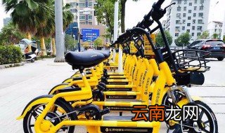 什么是共享电动车 共享电动车的使用