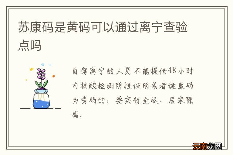 苏康码是黄码可以通过离宁查验点吗