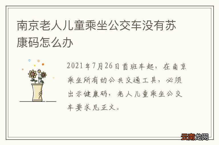 南京老人儿童乘坐公交车没有苏康码怎么办