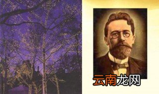 契诃夫第六号病室格罗莫夫是被什么人关进去的? 有什么艺术特色