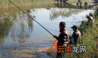 蚯蚓加什么钓鱼冬天最好 有什么技巧