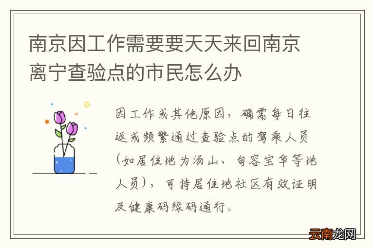 南京因工作需要要天天来回南京离宁查验点的市民怎么办