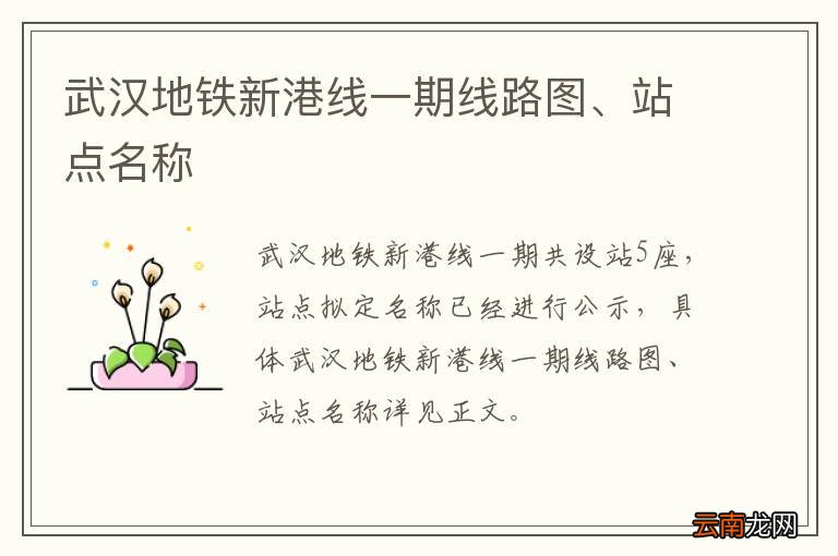 武汉地铁新港线一期线路图、站点名称