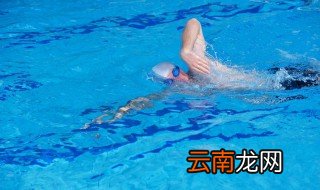 蛙泳怎样才能游得又远又不累呢 蛙泳如何才能游得又远又不累呢