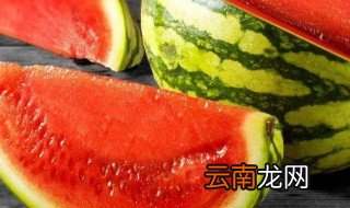 种西瓜用的工具 种西瓜用的工具讲解