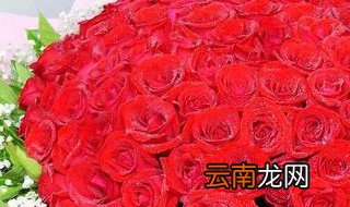 玫瑰花可以养几天 玫瑰花养法