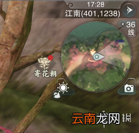 楚留香奇遇双姝记触发方法 NPC青芜触发位置