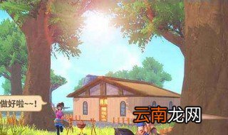 动物之森大头菜怎么种 动物之森大头菜种法简述