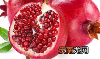 中国石榴代表什么意思 石榴有什么寓意