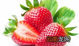 草莓的种植方法和技术 这些技巧建议收藏