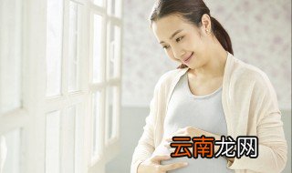 孕妇可以吃几个桂圆 孕妇能不能吃桂圆