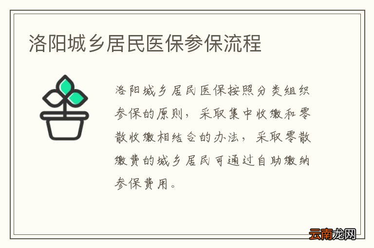 洛阳城乡居民医保参保流程